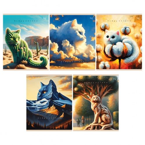 Т5ск48 62706