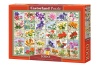 104338-box