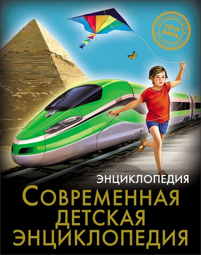 24163