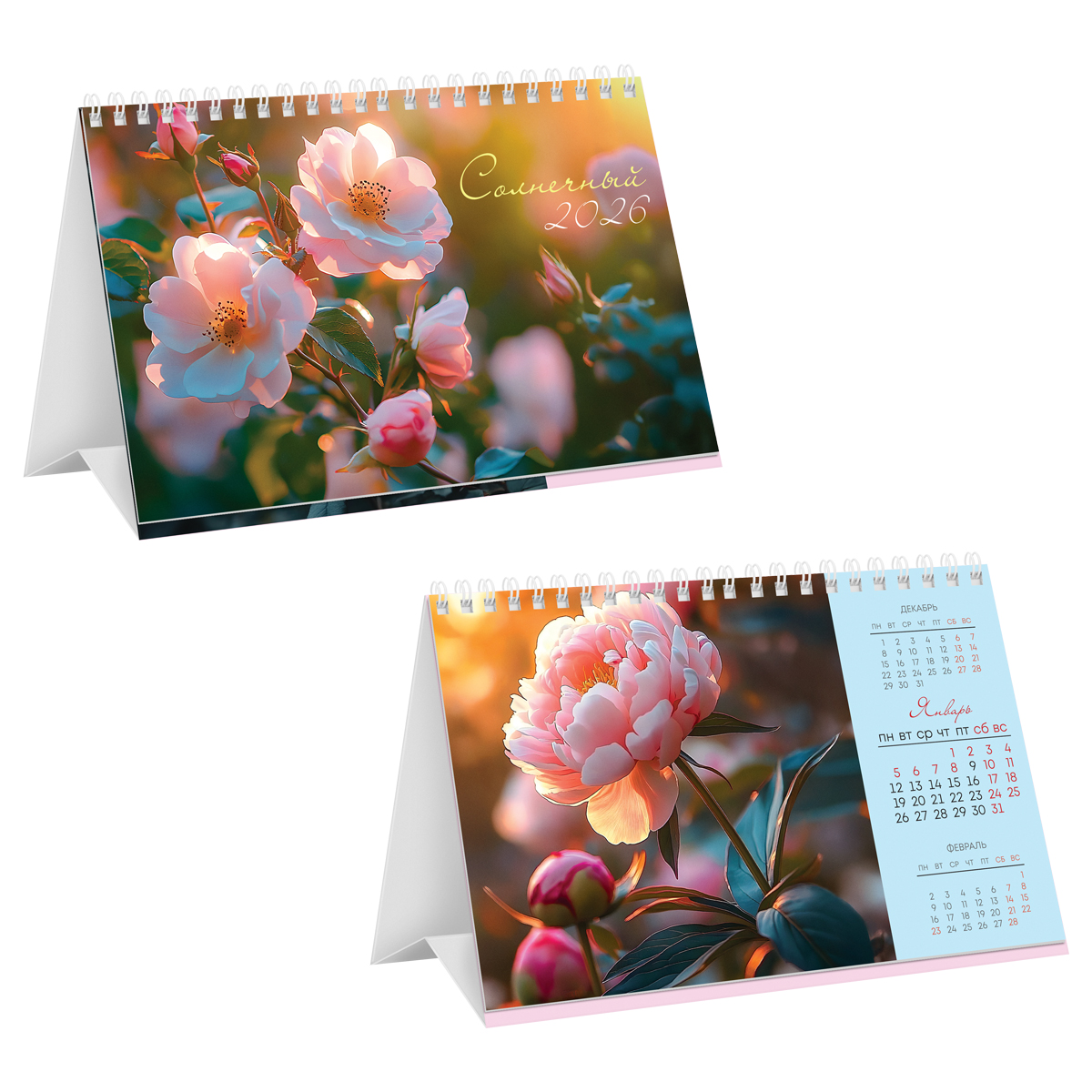 c939680bdb1089957eabfd103acf95f7