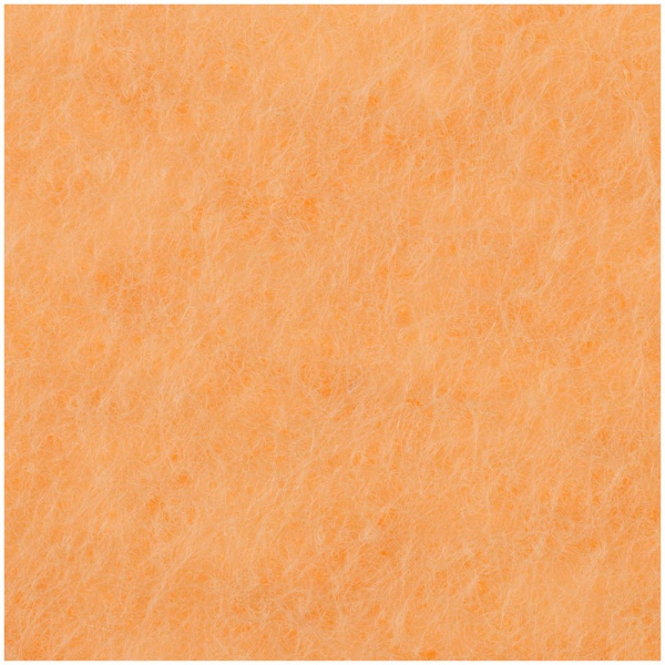 Фцр_38082