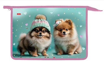 AMc_03038 Папка для тетрадей Пластиковая А4ф 1 отделение 245х340х40мм на молнии-Пушистое счастье-  в