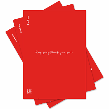 Тетрадь общая ученическая с пластиковой обложкой на скобе ErichKrause Words, красный, А4, 48 листов,