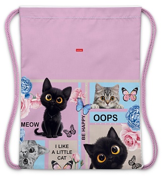 NMn_18026 Мешок для сменной обуви 33х42см 1 отделение  -Cat day-  в индив.упак.