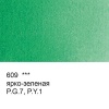 Краска акварель "VISTA-ARTISTA"   художественная, кювета   VAW   2.5 мл 609 ярко-зеленая