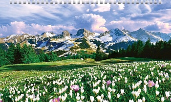 3Кв4гр2ц_11532 Календарь квартальный 3-х блоч. на 4-х гребнях 320х840мм УльтраЛюкс бум. Офсет. 2-х ц