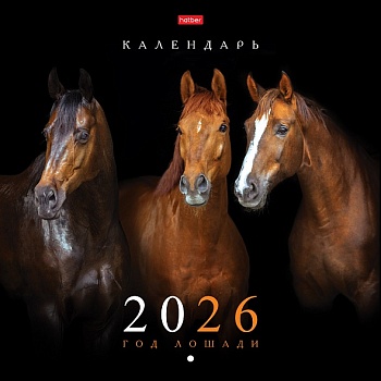 6Кнп4_34250 Календарь настенный перекидной 30х30см ЭКОНОМ на 2026г бум. Мелованная на скобе-Год Лоша