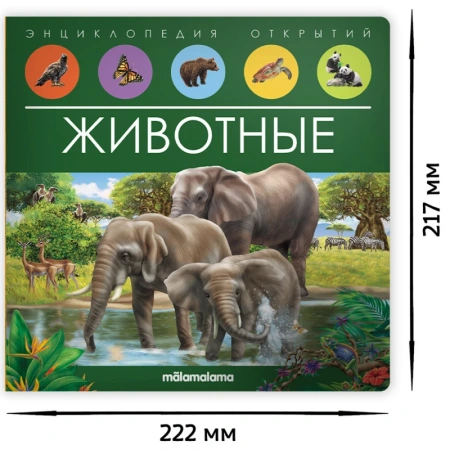 9785001347965_4