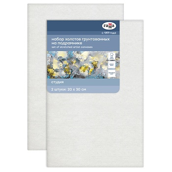 Набор холстов на подрамнике Гамма "Студия", 2шт., 20*30см, 100% хлопок, 280г/м2, мелкое зерно