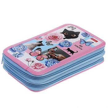 NPn_47099 Пенал 190х110мм 2 отделения на молнии глянц.ламин.тиснение -Cat day- с табл.умножения в ин