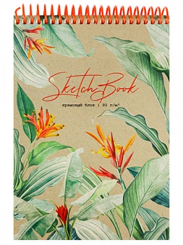 44a5a18ee9b8c6d7fed1f037af411dfb