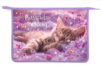 AMc_03036 Папка для тетрадей Пластиковая А4ф 1 отделение 245х340х40мм на молнии -МЯУ-СТОРИ-  в индив