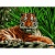 Картина по номерам на картоне ТРИ СОВЫ "Тигр", 30*40, с акриловыми красками и кистями