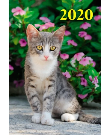 5025