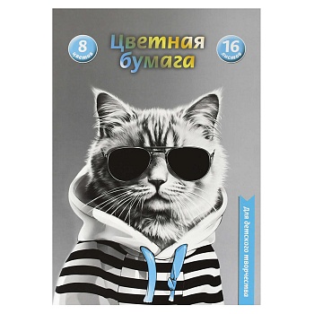 Цветная бумага арт. 69948 КОТ В ХУДИ /195х290 мм, мягкий переплёт (2 скобы), 16 л, обложка - полноцв