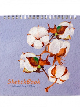 08bddbe5228fd9f407ad425c5845ca8a