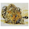 cb000020099-800x800
