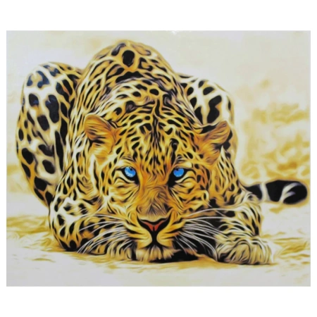 cb000020099-800x800