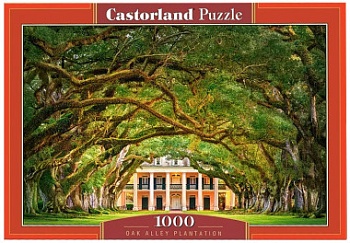 104383-castorland