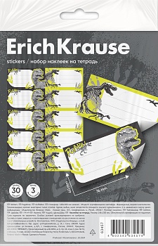 Наклейки на тетрадь ErichKrause Dinosaur Park, 3 листа, в пакете с европодвесом