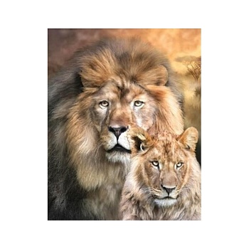 Картина по номерам Alingar, 40х50 см, 20 цветов,с акриловыми красками, холст, "Львинная семья"