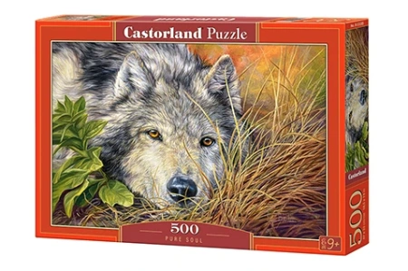 53285-box