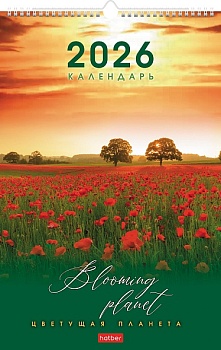 12Кнп3гр_34618 Календарь настенный перекидной 30х45см ЛЮКС на 2026г бум. Мелованная на гребне с риге